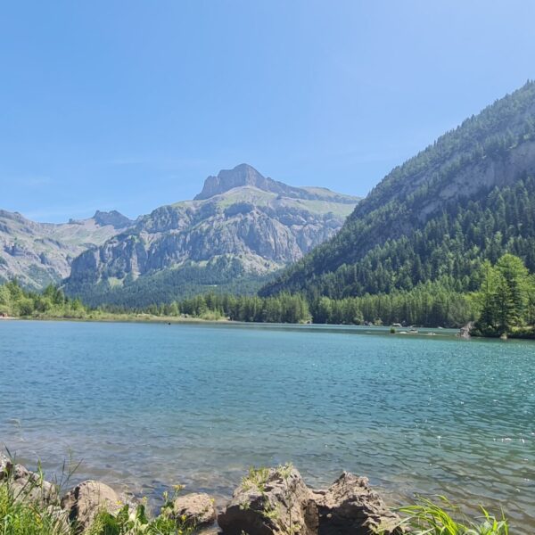 Ein klarer See, der Lac de Derborence in der Schweiz, ist umgeben von Felsen, üppig grünen Bäumen und steilen Bergen unter einem strahlend blauen Himmel an einem sonnigen Tag.