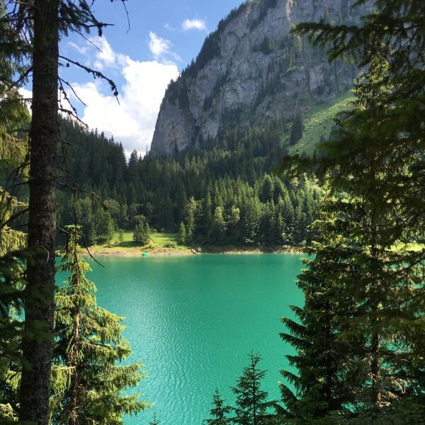 Türkisfarbener Lac de Tanay See in den Schweizer Alpen, umrahmt von Bäumen und Bergen.