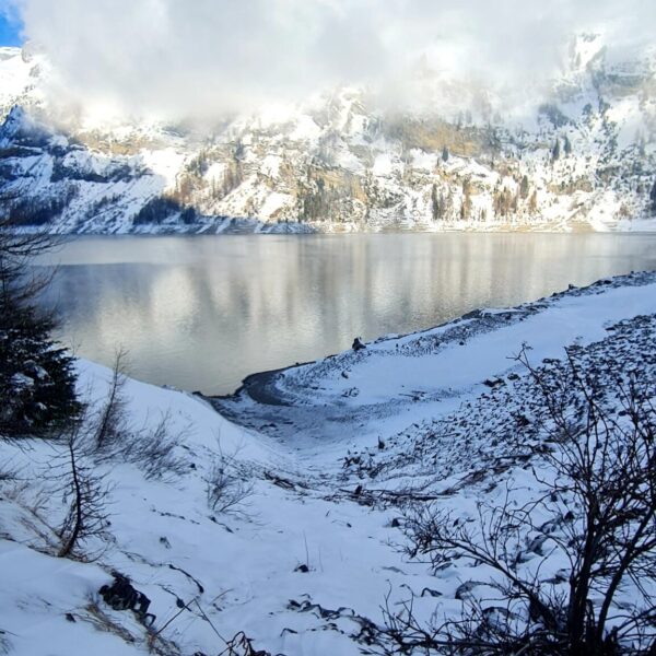 Ein schneebedecktes Seeufer mit kahlen Ästen im Vordergrund, in dem sich hohe, teilweise wolkenverhangene Berge unter einem strahlend blauen Himmel spiegeln - eine einladende Szene für eine Wanderung in der Nähe des Schweizer Sees Lac de Tseuzier.