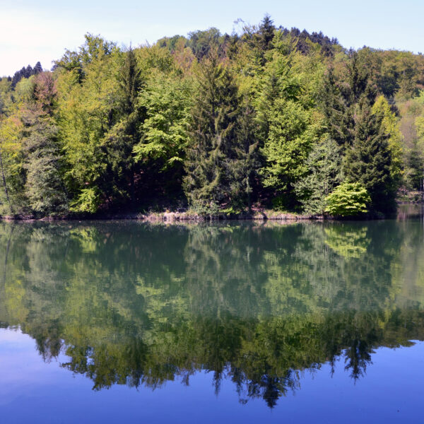 Spiegelung des Lac des Vaux im ruhigen Wasser, umgeben von Bäumen.