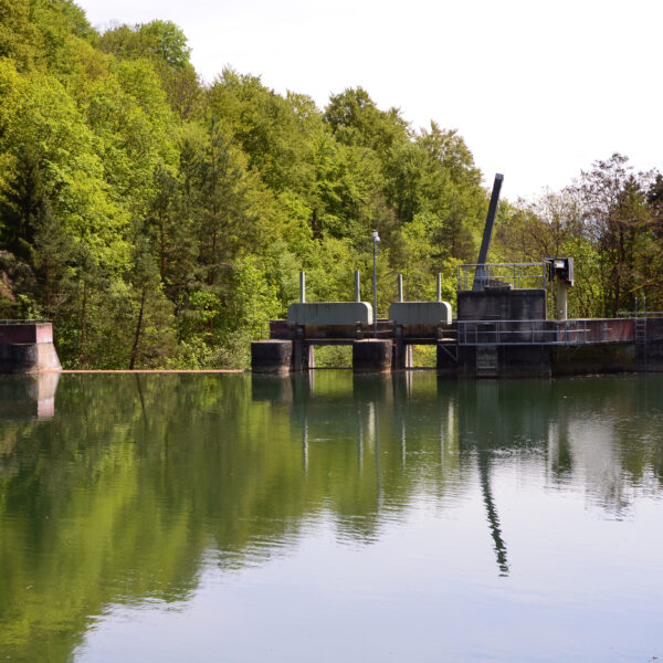 Lac des Vaux: Wasserspiegelung der Schleuse im ruhigen See, umgeben von Bäumen.