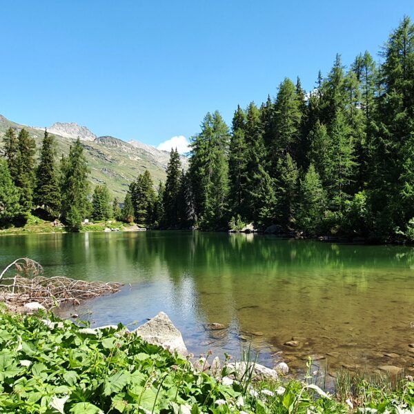 Idyllischer Lägh da Bitabergh Bergsee mit Bäumen und Bergen im Hintergrund.