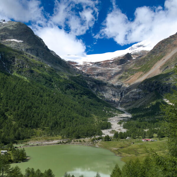 Lagh da Palü: Alpensee mit Bergen, Wald und Gletscher unter blauem Himmel.