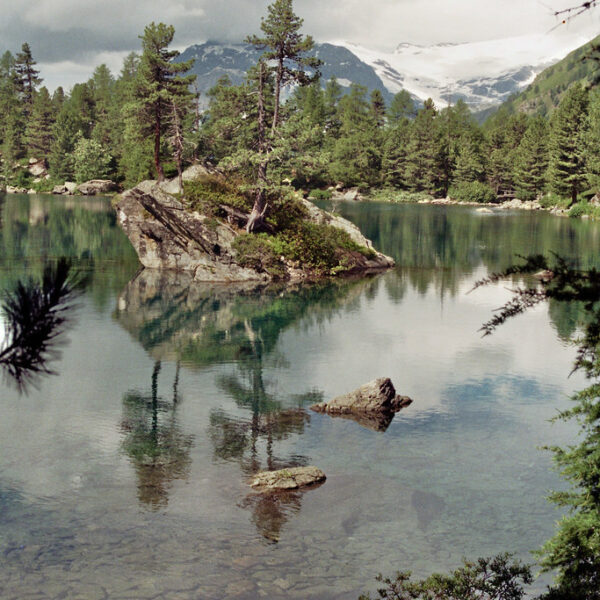 Lagh da Saoseo: Malerischer Bergsee mit Insel und Spiegelung der Bäume im klaren Wasser.