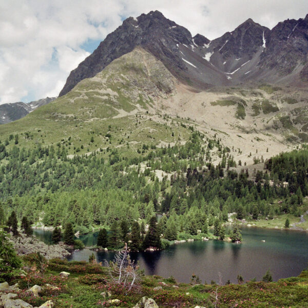 Lagh da Val Viola See mit Bergen und Wald.