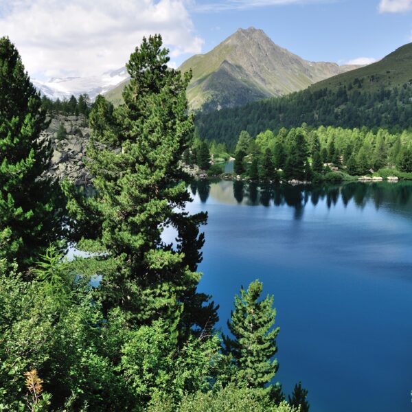 Lagh da Val Viola: Bergsee mit Bäumen und Bergen im Hintergrund.