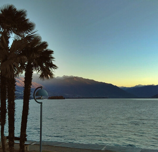 Palmen am Lago Maggiore (Langensee) bei Sonnenuntergang mit Bergen im Hintergrund.