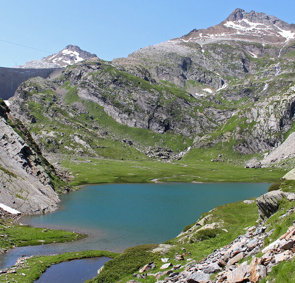 Lago dei Cavagnöö, ein Bergsee in den Alpen mit grünen Wiesen und schneebedeckten Gipfeln.