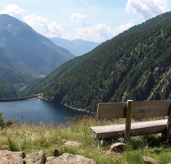 Holzbank mit Blick auf den Lago del Sambuco und die Berge.