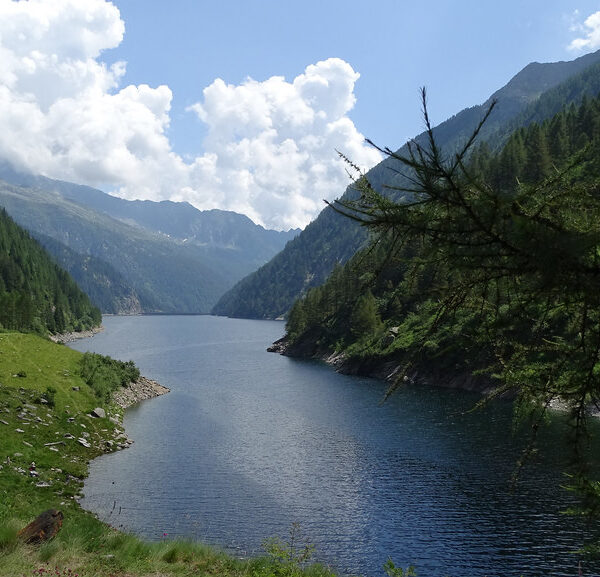 Lago del Sambuco: Ruhiger Bergsee umgeben von grünen Wäldern und Bergen unter blauem Himmel.