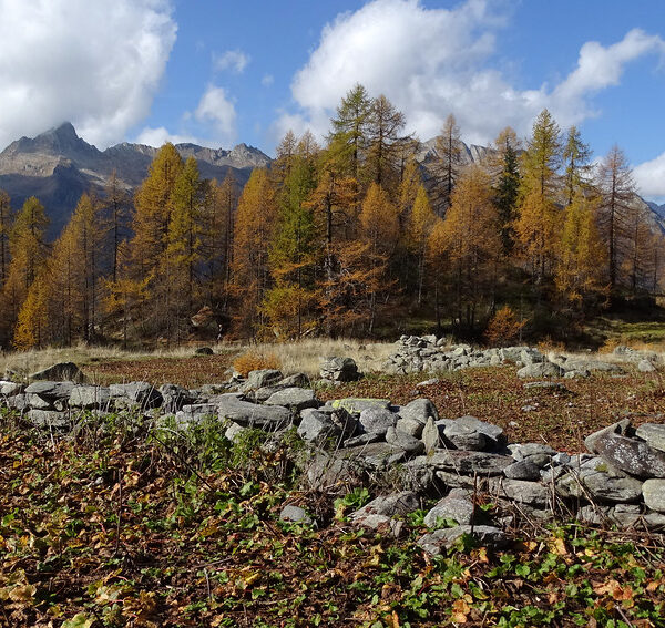 Herbstliche Landschaft am Lago di Mognola mit Steinmauer und Bergen im Hintergrund.