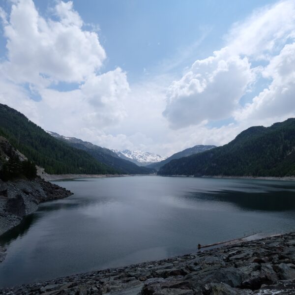 Lai da Marmorera: Ruhiger Bergsee mit bewaldeten Hängen und schneebedeckten Gipfeln unter blauem Himmel.