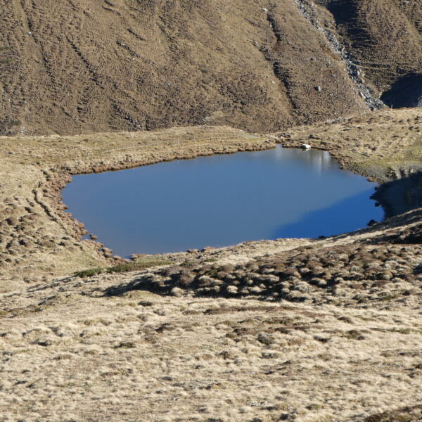 Lai da Schmorras: Bergsee in alpiner Landschaft mit trockenem Grasland.
