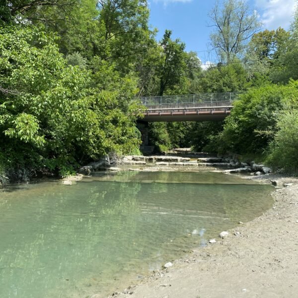 Ein klarer Bach mit sanften, stufenförmigen Felsen fließt unter einem kleinen Steg, der an einem sonnigen Tag von üppig grünen Bäumen und Sträuchern umgeben ist.