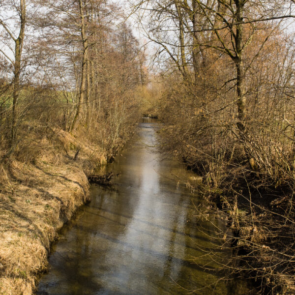 Bachlauf der Lauche im Frühling, umgeben von Bäumen und Sträuchern.