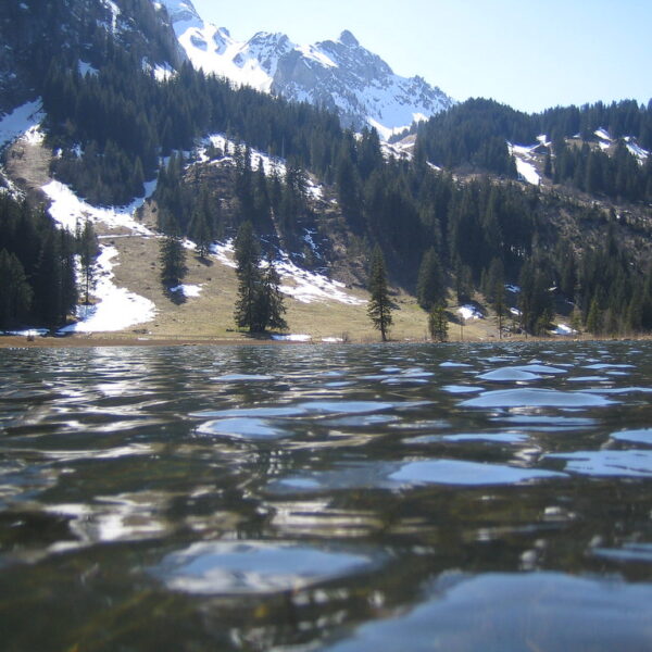 Lauenensee mit Bergen, Bäumen und Schnee im Hintergrund