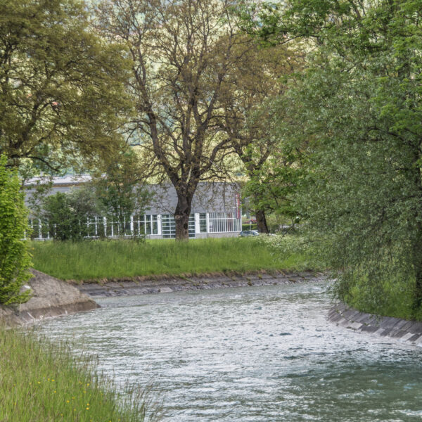 Fluss Laui mit Bäumen und einem Gebäude im Hintergrund. Ruhige Landschaft.