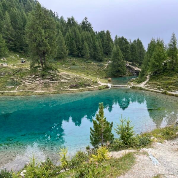 Ein klarer blauer See, der Lac Bleu bei Arolla, ist von grünen Tannen und grasbewachsenen Hügeln umgeben. Einige unbefestigte Wanderwege schlängeln sich unter einem blassen, bewölkten Himmel durch die Landschaft.