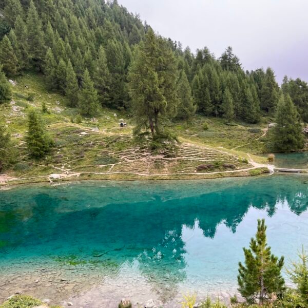 Im klaren, blaugrünen Wasser des Lac Bleu spiegeln sich die umliegenden Kiefern und ein grasbewachsener Hügel bei Arolla, im Hintergrund erhebt sich ein bewaldeter Berg unter einem wolkenverhangenen Himmel.
