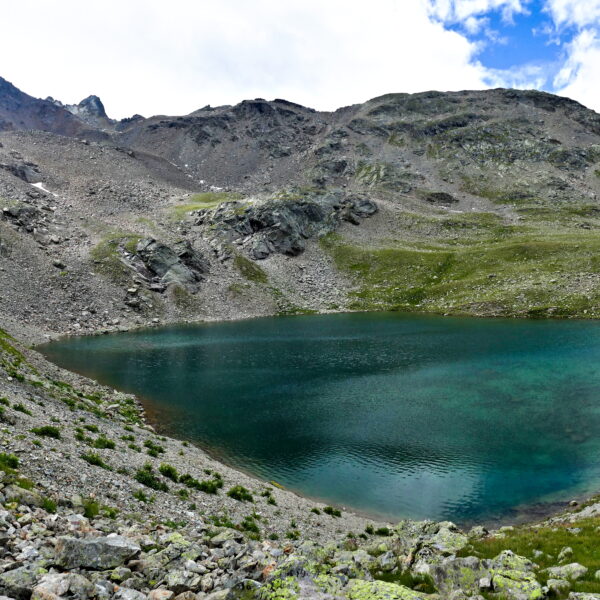 Lej Languard: Bergsee in den Schweizer Alpen mit felsiger Uferlinie und grünem Gras