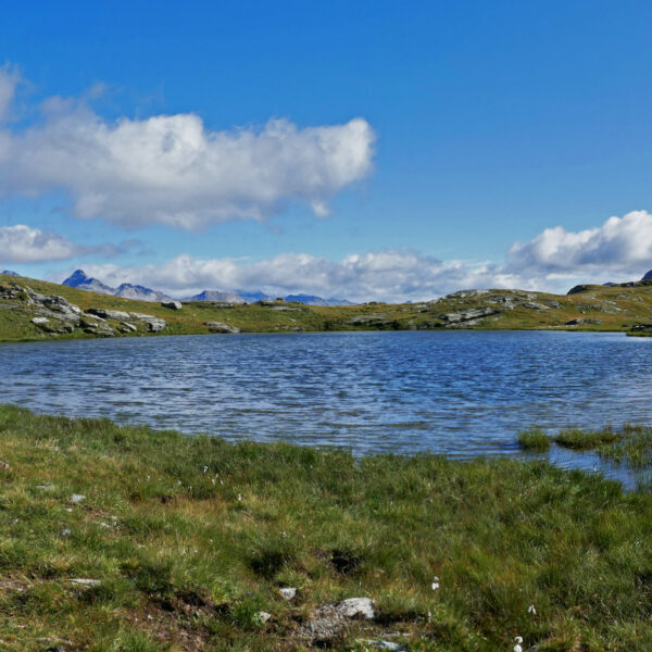 Bergsee in den Alpen mit grünen Wiesen und blauem Himmel. Lejin Epidot Landschaft.