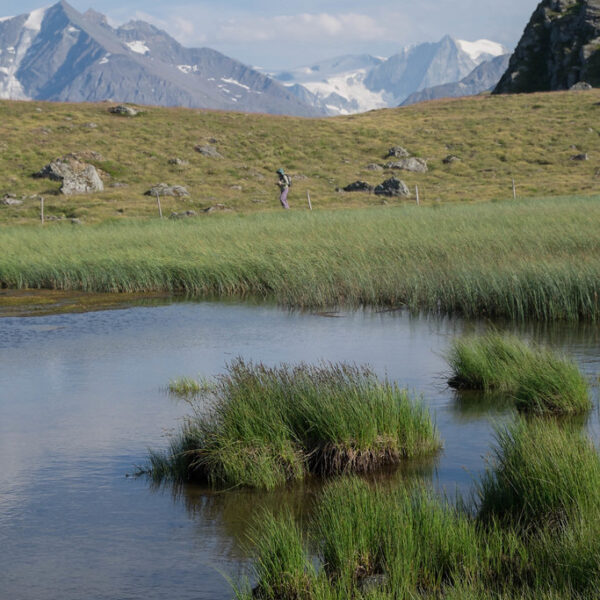 Wanderer am Gouilles-See in den Schweizer Alpen vor schneebedeckten Bergen.