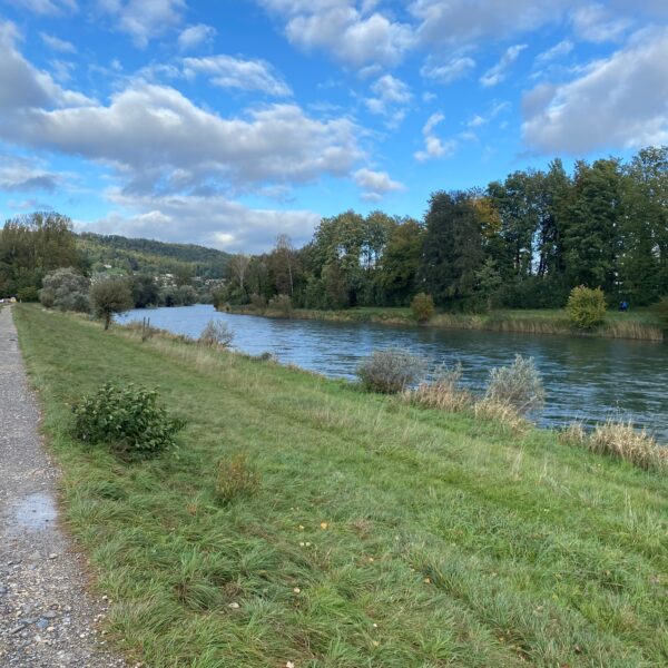 Limmat Flussufer mit Weg und Bäumen unter blauem Himmel