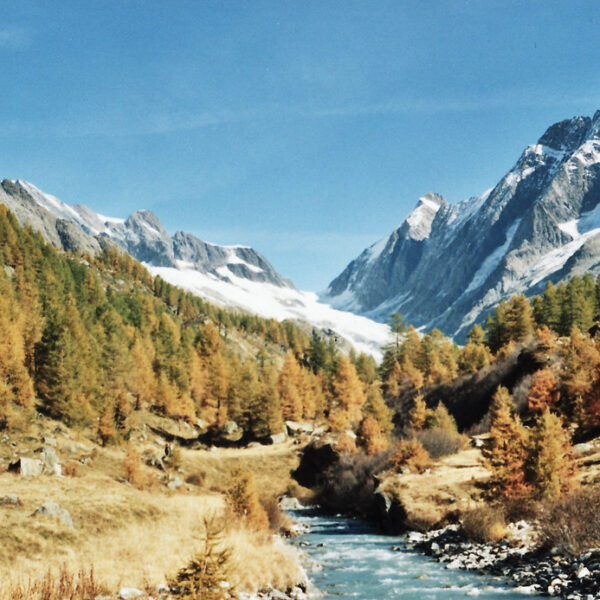 Flusslandschaft mit herbstlichen Bäumen und schneebedeckten Bergen.