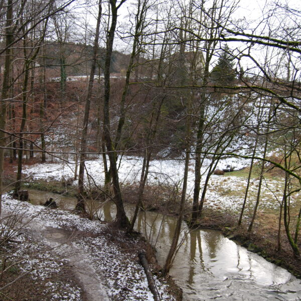 Winterliche Lützelmurg: Flusslauf durch verschneite Waldlandschaft mit kahlen Bäumen.