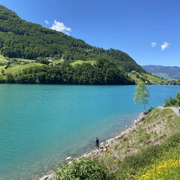 Ein strahlend blauer See, umgeben von grünen Hügeln unter einem klaren blauen Himmel. Eine Person steht am felsigen Ufer und ein Paar geht auf einem von Gras und gelben Wildblumen gesäumten Pfad spazieren.