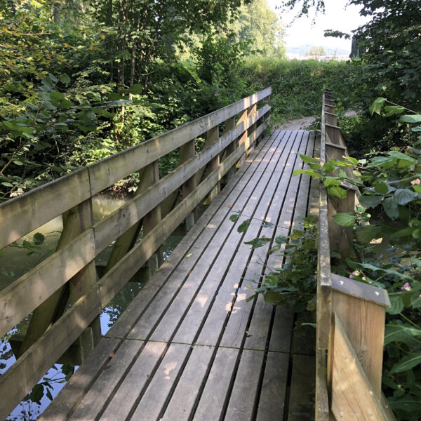 Holzbrücke über den Lyssbach auf einem Wanderweg