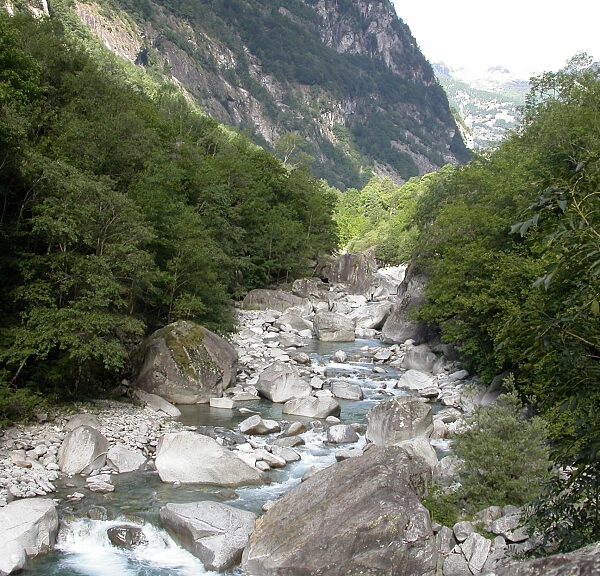Maggia-Tal: Fluss mit Felsen und üppiger Vegetation in der Schweiz.