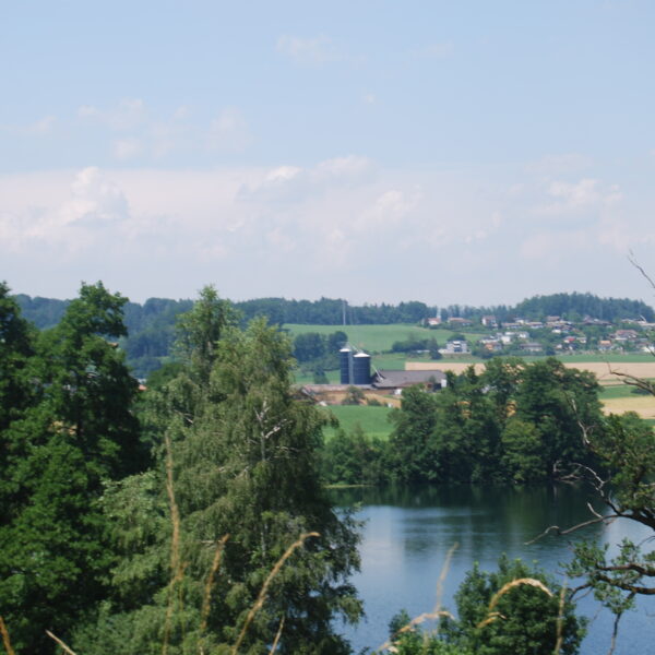 Blick über den Mauensee auf bewaldete Ufer und eine ländliche Szene mit Feldern und Häusern.