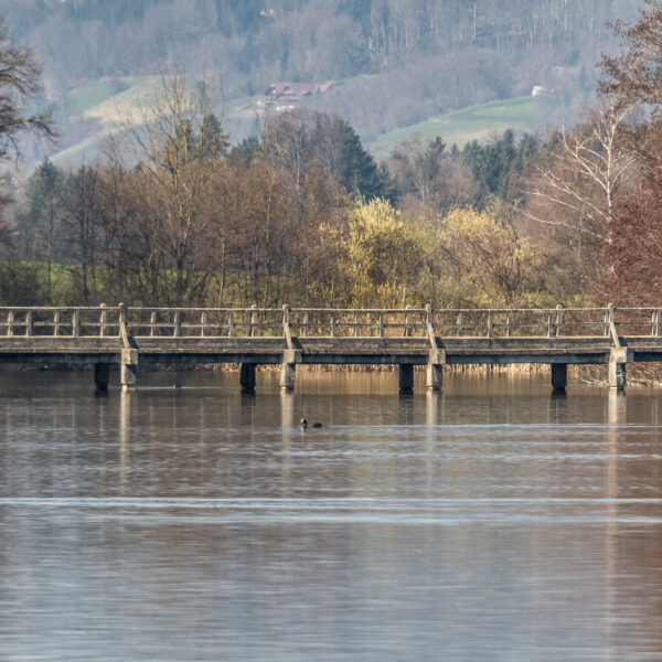 Holzbrücke über den Mauensee mit Bäumen im Hintergrund.