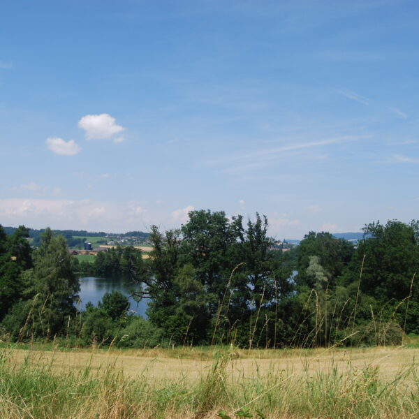 Landschaft am Mauensee mit See, Bäumen und blauem Himmel.