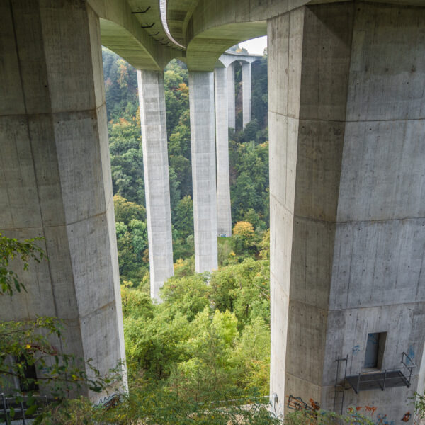 Betonpfeiler der Mentue-Brücke ragen durch grüne Bäume, ein beeindruckendes Ingenieurbauwerk.