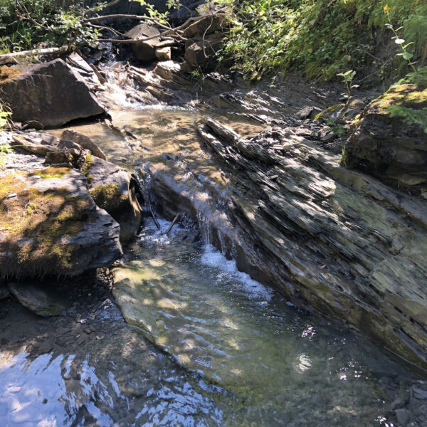 Bachlauf im Mittelbach mit Felsen und üppiger Vegetation.