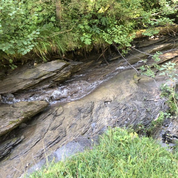 Bachlauf im Mittelbach, umgeben von grüner Vegetation und Felsen.