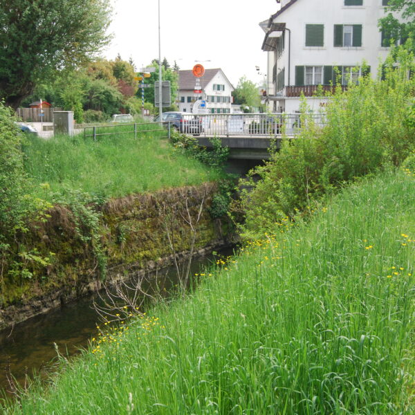 Mönchaltorfer Aa: Bachlauf unter einer Brücke mit üppiger Vegetation.
