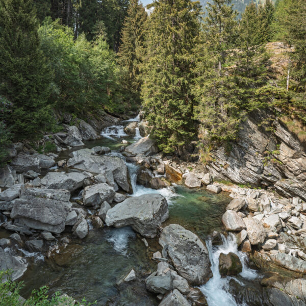 Fluss Moesa schlängelt sich durch Felsen und Wald in den Schweizer Alpen.