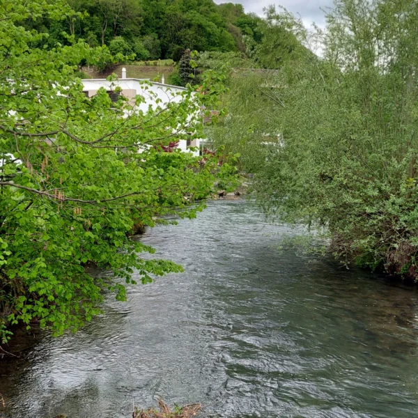 Unter einem bewölkten Himmel fließt ein Fluss zwischen üppig grünen Bäumen hindurch, im Hintergrund sind weiße Gebäude und waldbedeckte Hügel zu sehen.
