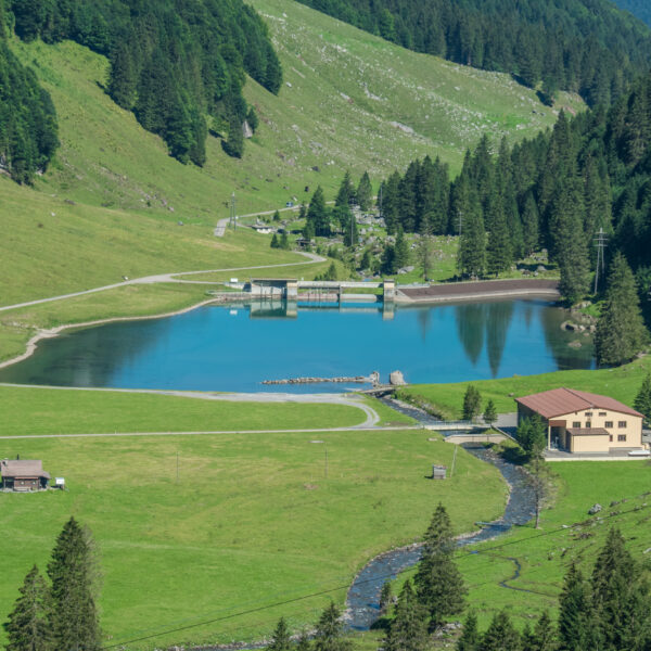 Idyllische Landschaft mit dem Muota-See, umgeben von grünen Wiesen und bewaldeten Bergen.