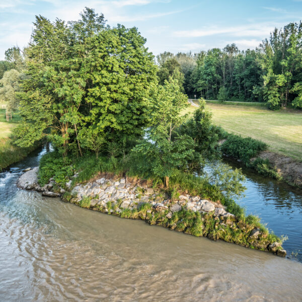 Murg (Thur) Flusslandschaft mit Bäumen und Uferbewuchs.