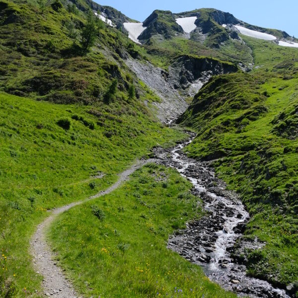 Wanderweg am Nant de Catogne entlang eines Bergbachs in den Alpen.