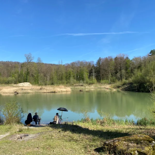 Naturschutzzone Hegnau bei Bremgarten