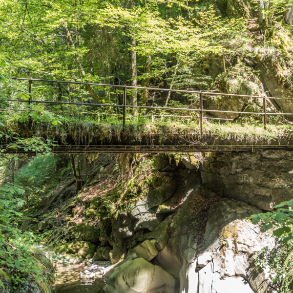 Brücke im Waldgebiet Necker über einen Bachlauf mit Felsen und üppigem Grün.