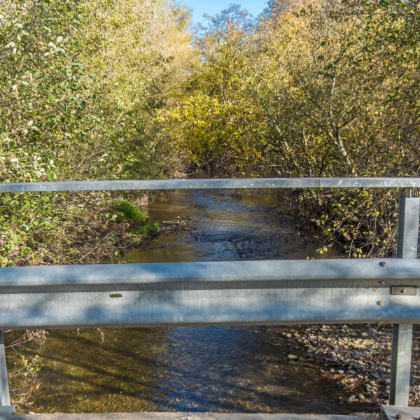 Brücke über einen kleinen Bach in herbstlicher Landschaft. Uferbewuchs mit bunten Blättern.