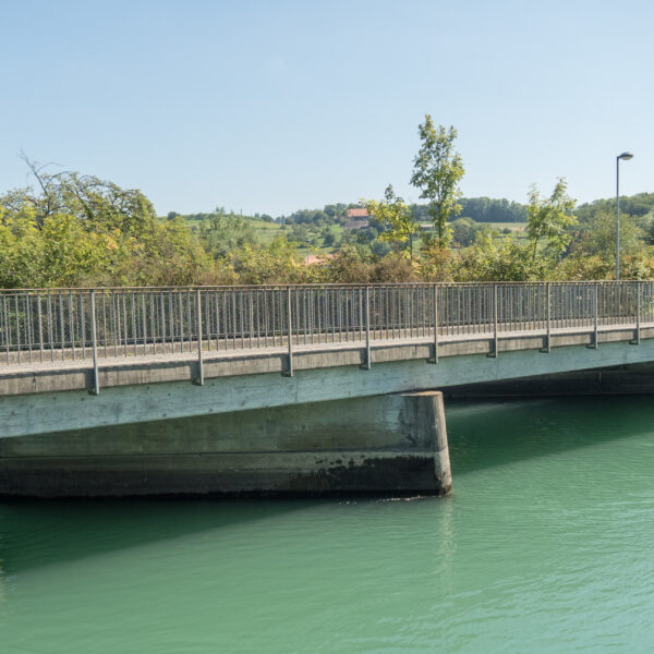 Brücke über den Niederriedsee mit grünen Wasser und Bäumen im Hintergrund.