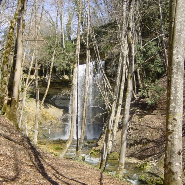Wasserfall Nozon im Wald mit kahlen Bäumen im Frühling.