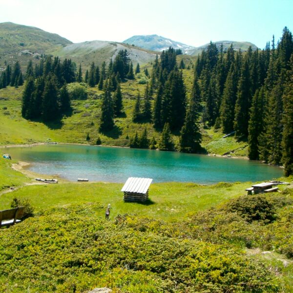 Ober Prätschsee: Idyllischer Bergsee mit grünen Wiesen und Nadelbäumen.